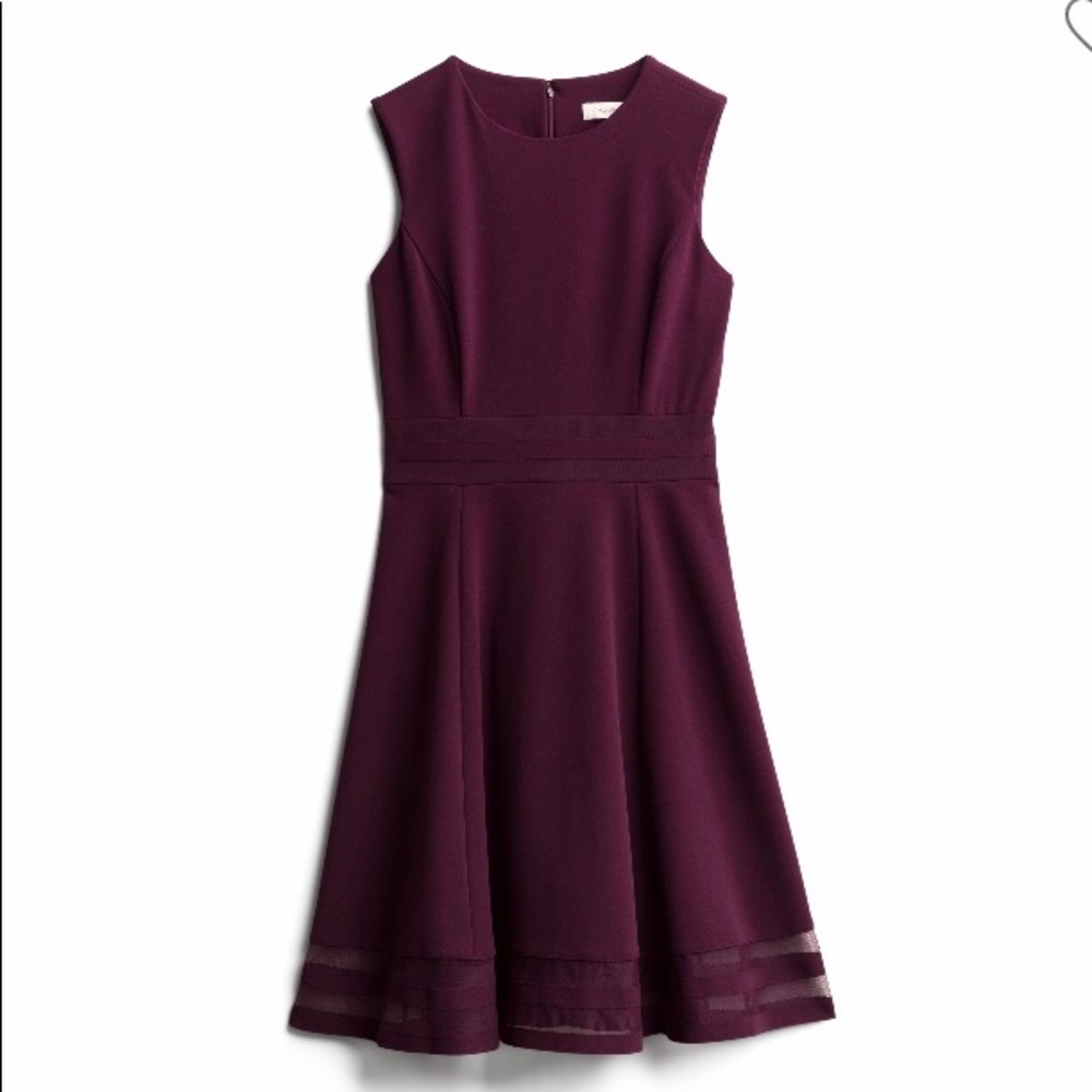 NWT Calvin Klein dress